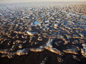 Po odpařující se vodě zůstává povrch pokrytý ostrými krystalky soli, Laguna Cejar, Chile