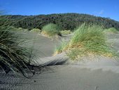 Souostroví Chiloé - Temuco, Chile