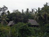 Centrální Bali - Ubud a okolí, Indonésie