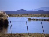 Bezstarostná jízda provincií Mendoza, Argentina