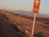 Oblast výskytu endemických kaktusů kandelábr, Chile