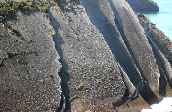 Stěna útesu je doslova pošlapána dinosaury.