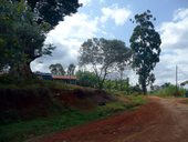 Cesta z Nairobi do městečka Chogoria - jedno z výchozích míst k branám Národnícho parku Mt. Kenya, Keňa