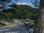 Národní park Torres del Paine, Chile