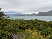 NP Torres del Paine - W trek, Chile