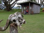 První den na cestě Chogoria Route - z mestečka Chogoria k bráně NP Mount Kenya, Mt. Kenya, Keňa