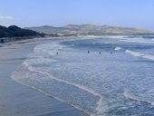 Dunedin - pobřeží vhodné k surfování