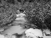 Konec Mengusovské doliny kousek od Popradského plesa, Vysoké Tatry, Slovensko