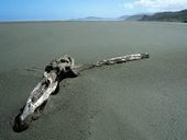 Souostroví Chiloé - Temuco, Chile