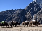 Everest Base Camp Trek, Himálaj, Nepál