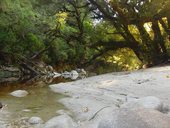 zátiší řeky Oparara