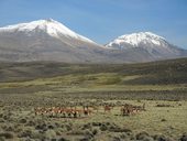 Acotango (6052m) a Capurata (5990m) - dvě z trojice sopek souhrnně pojmenovaných Nevados de Quimsachata, Chile