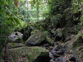 Centrální Bali - Ubud a okolí, Indonésie