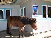 Everest Base Camp Trek, Himálaj, Nepál