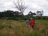 Na stezce mezi branou parku a tábořištěm Meru Mt. Kenya Lodge