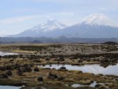 Payachatas v mlžném oparu, NP Lauca, Chile