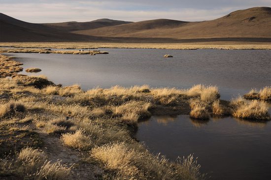 Laguna Paquisa v zapadajícím slunci, Chile