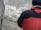 Před odchodem se s námi přišla rozloučit liška