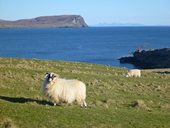 Neist Point