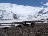 Cesta ze základního tábora Ačik-Taš do C1 (4400m), Kyrgyzstán