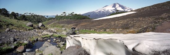 Národní park Conguillío, Chile.