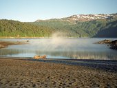 Ranní opar nad hladinou jezera Conguillío