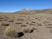 Národní park Volcán Isluga, Chile