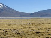 Arintika (5585m) a Pukintika (5740m), Salar de Surire, Chile