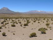 Chilské altiplano s výhledem na sopku Cariquima (5350m), Chile