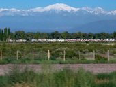 Bezstarostná jízda provincií Mendoza, Argentina