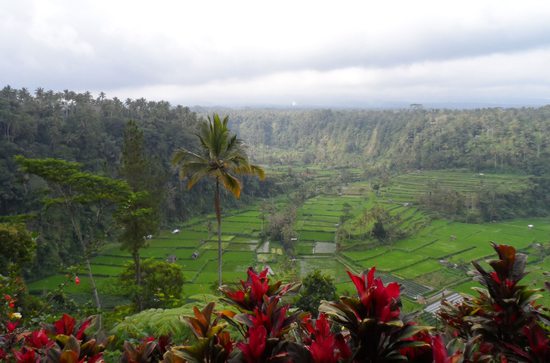 Sopečné údolí pod Gunung Agung, Bali, Indonésie