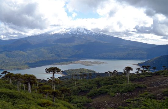 Conguillío, tady ožívají obrazy Zdeňka Buriana - sopky, jezera, lávová pole a araukáriové lesy, Chile