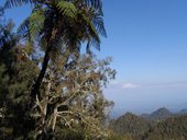 Výstup na Gunung Semeru (3676m), Indonésie