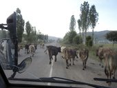 Cesta z Oše do základního tábora Ačik-Taš (3600m), Kyrgyzstán