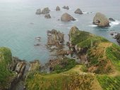 nugget point