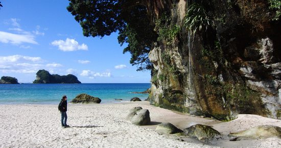 cathedral cove