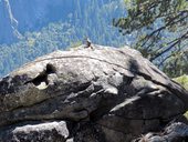 Yosemite, El Capitan, USA