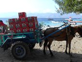 Východní Bali - Padangbai a okolí, Indonésie