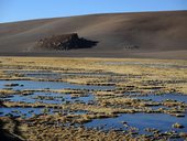 Quebrada Quepiaco, přírodní rezervace Los Flamencos, Chile