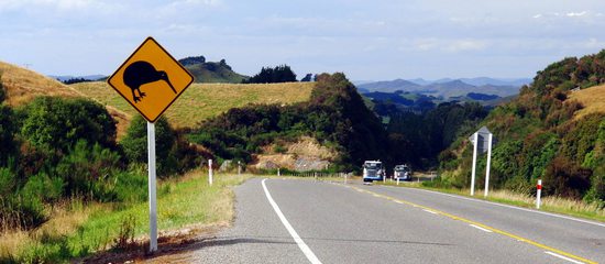 on the kiwi road