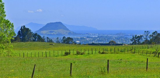 Mt Maunganui zdaleka