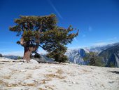 Yosemite, El Capitan, USA