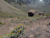 Přístup pod Aconcagua údolími Vacas a Relinchos, Argentina