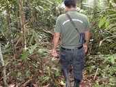 Gilver nás vede na procházce džunglí