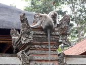 Centrální Bali - Ubud a okolí, Indonésie