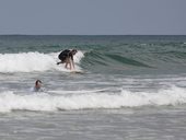 surfování
