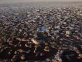 Laguna Cejar, Salar de Atacama, Chile