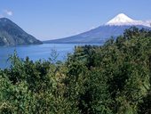 Národní park Vicente Pérez Rosales, Puerto Montt, Chile