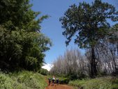 První den na cestě Chogoria Route - z mestečka Chogoria k bráně NP Mount Kenya, Mt. Kenya, Keňa