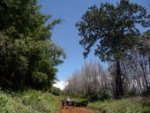 První den na cestě Chogoria Route - z mestečka Chogoria k bráně NP Mount Kenya, Mt. Kenya, Keňa